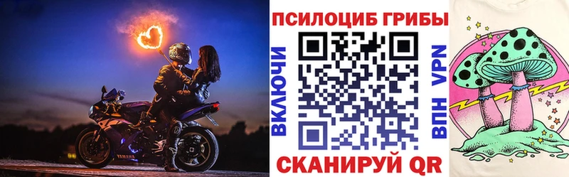 гидра ONION  Боровск  Галлюциногенные грибы Psilocybe 